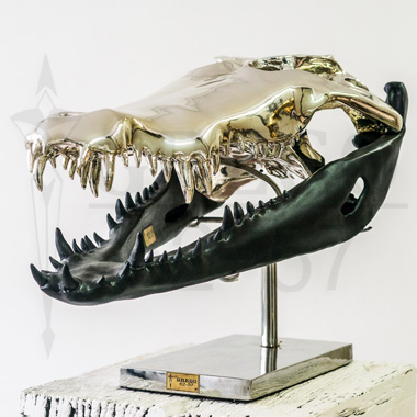 Skulls of crocodile in fiber of chrome-plated glass gone up on a base stainless - Size 40 * 85 cms </br> © RODRIGUE GREGO